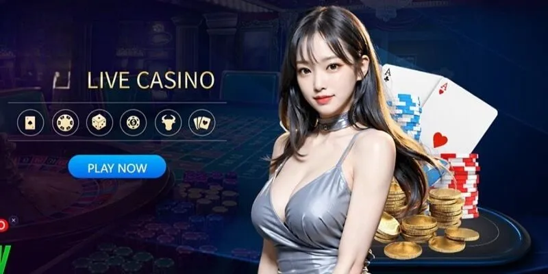 Sòng bài trực tuyến 6686 được yêu thích