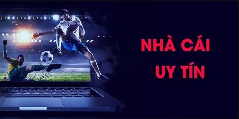 Thuật ngữ tổng quát về nhà cái chất lượng